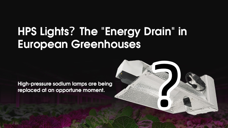 LED vs HPS Which Grow Light Saves More for European Greenhouses?